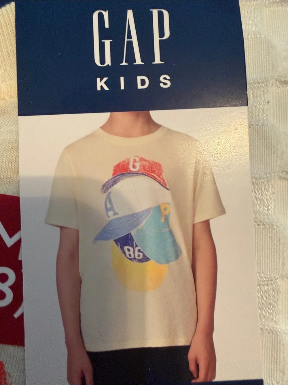 GAP Champion Boys Navy Shorts with Light Blue and Cream Graphic Tees